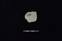 陶片藏品圖，第2張